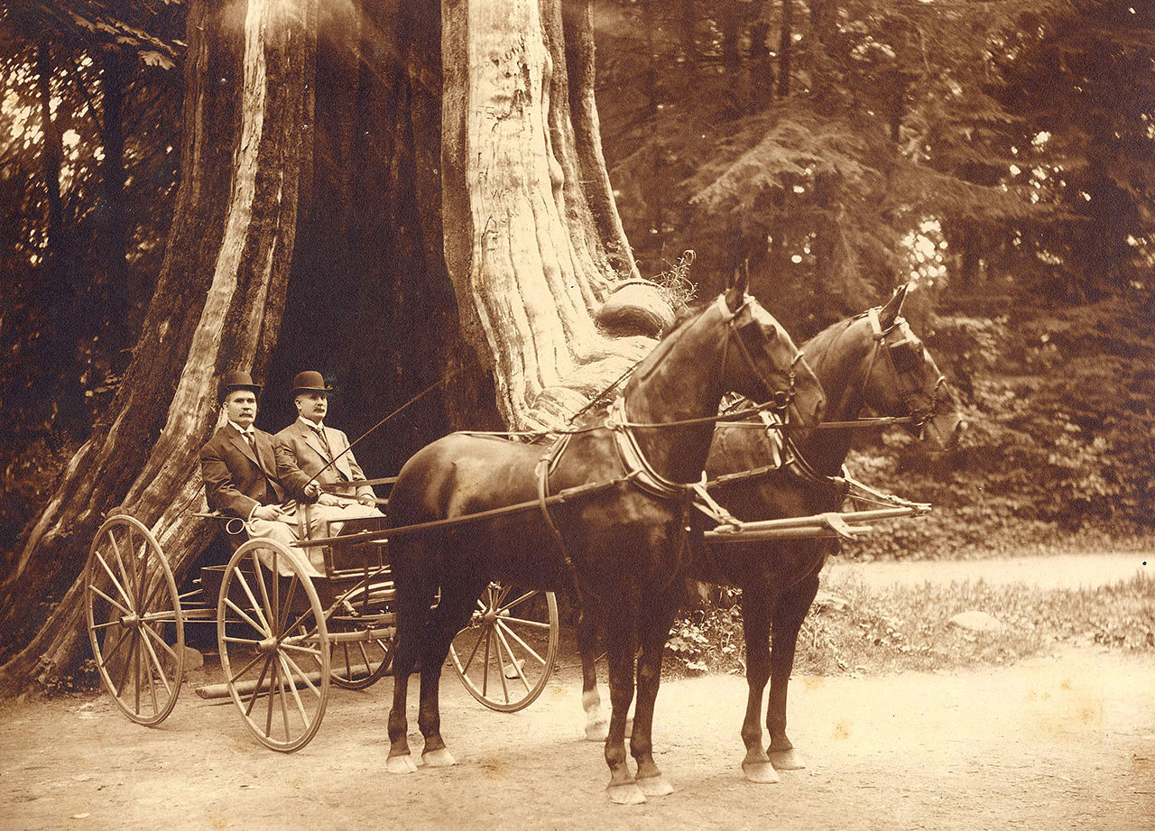 Vancouver Block site 5461r4b_Page_2_Image_0004